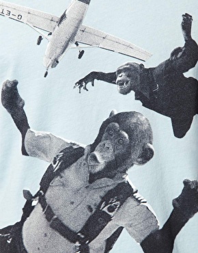 Gibbons decline and fall