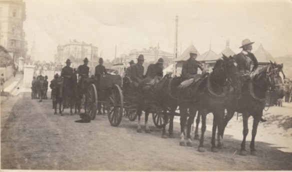 US Horse Transport troops, Vladivostok, 1918